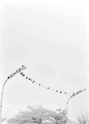 提供風景畫作服務的專家蔡佳璇