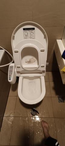 晶惠 - 清潔成如新的結果

