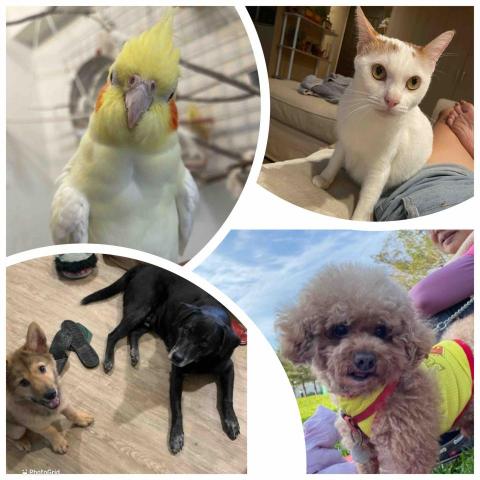 凱莉居家服務 - 