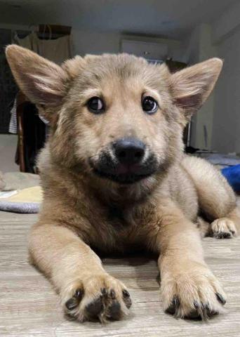 凱莉居家服務 - 