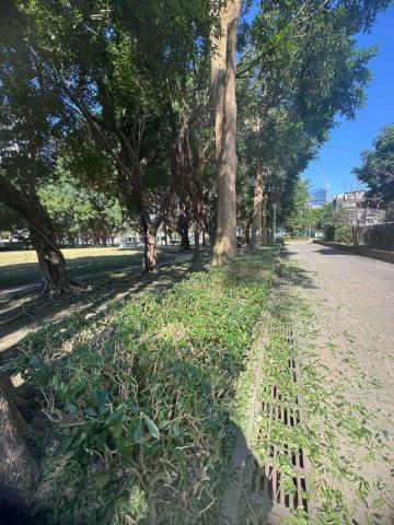 🪽森羽園藝 - 灌木修剪