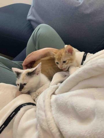 凱莉居家服務 - 