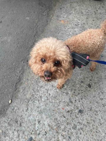 凱莉居家服務 - 