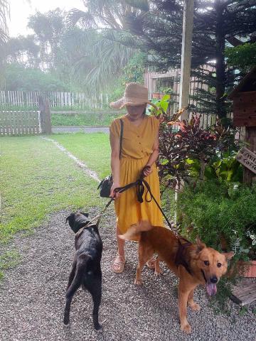 凱莉居家服務 - 