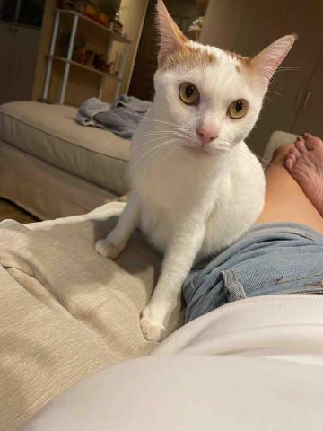 凱莉居家服務 - 