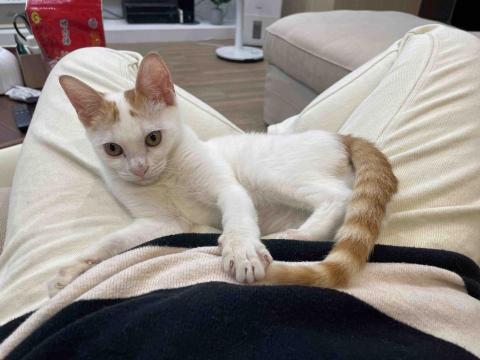 凱莉居家服務 - 