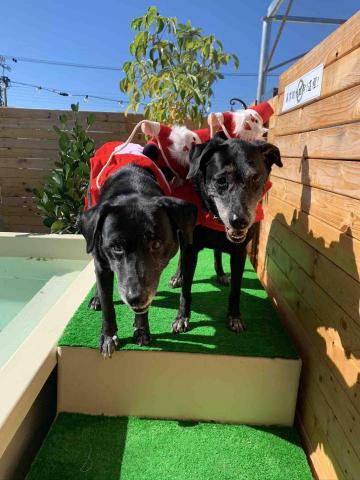 凱莉居家服務 - 