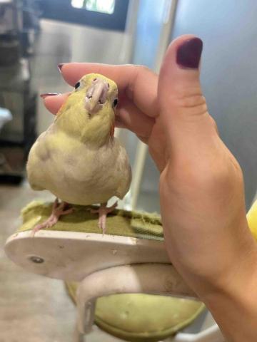 凱莉居家服務 - 