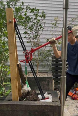 盧子揚 - 樹根移除