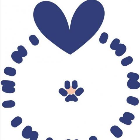 提供簡單插畫book服務的專家阿舒BOOK