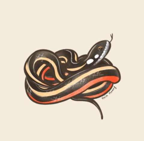 HSIN - 金絲蛇插圖。以平板繪圖軟體繪製完成（procreate ）。