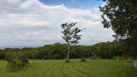 提供割草服務的專家盧恩廷