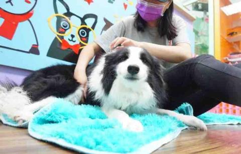 提供保母服務的專家曾曉柔