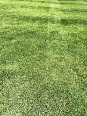 綠的植草農場 - 修剪