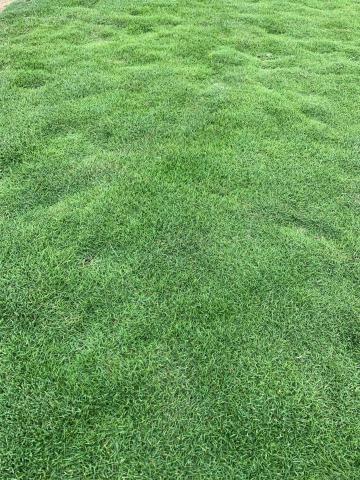 綠的植草農場 - 