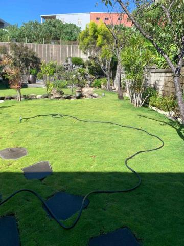 綠的植草農場 - 