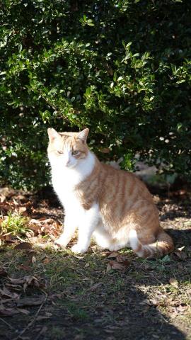 L.f&rsquo;s photo - 寵物拍攝