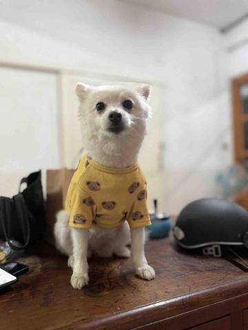 一貳企業社 - 哩哩