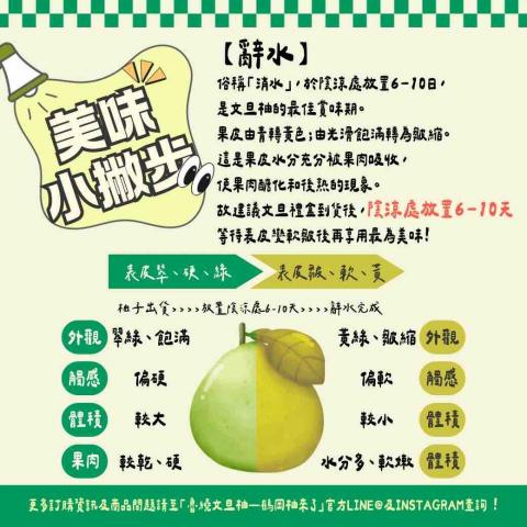 阿豆 - 社群圖文設計