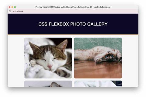 Yu Steven - 這是使用 CSS Flexbox 所建立的圖片畫廊範例，展示了網頁布局的彈性與自適應特性。該專案來自 freeCodeCamp 的課程，並透過實作學習，掌握了如何排列、對齊與調整圖片區塊的設計技巧。