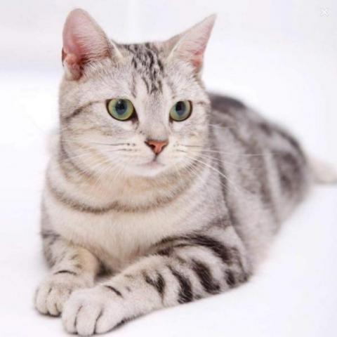 提供plc服務的專家謝智文