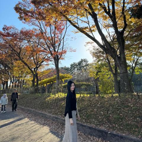 提供信封袋寫法服務的專家顏于雅