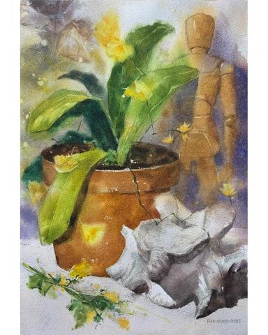 Han studio  邱柏翰 - 蘭花盆栽靜物水彩習作

透過分層處理，可以做到模糊清晰變化，
如果你想了解水彩如何表現題材，歡迎洽詢課程喔