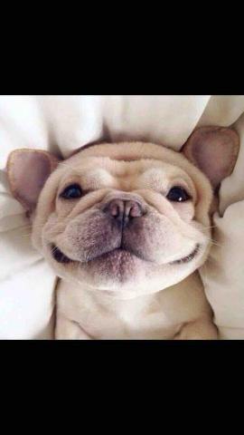 提供移機服務的專家昕禾空調工程行