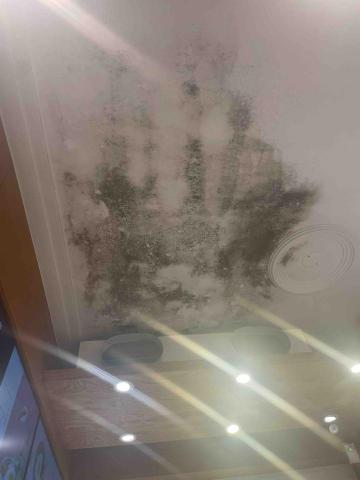 阿至油漆工作室 - 天花板 因冷氣直吹 導致潮濕 壁癌 發霉 脫落現象 採用了得利晴雨漆 二底三度 阿至油漆工作室 - 天花板 因冷氣直吹 導致潮濕 壁癌 發霉 脫落現象 採用了得利晴雨漆 二底三度