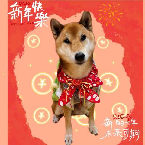 提供大型犬品種服務的專家鄭珺