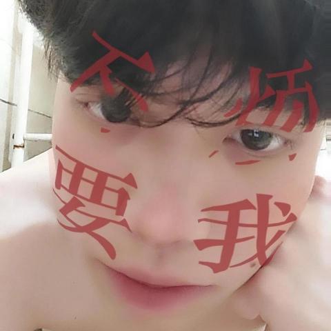 提供賺錢appios服務的專家You