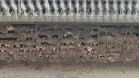 奇恩空調家電工程行 - 風鼓 灰塵累積如同狼牙棒 滿滿的黴菌
