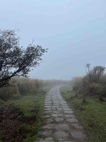 提供wordpress架設服務的專家Huang