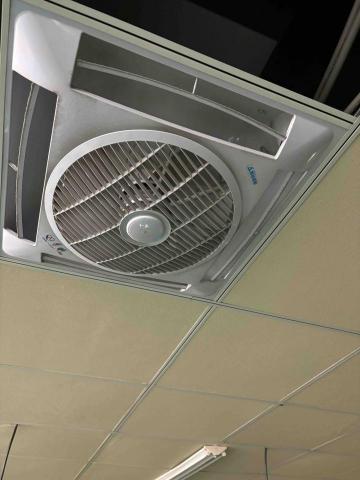 游銘揚 -  游銘揚 -