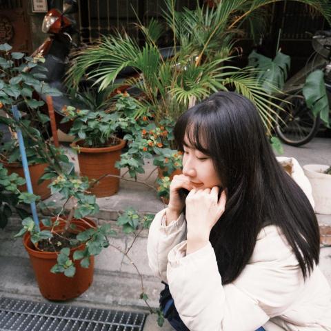 提供n3服務的專家Iris