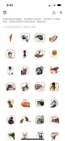 Anita Lu😺 - 自家寵物貼圖創作，包含去背照片及手繪文字、背景