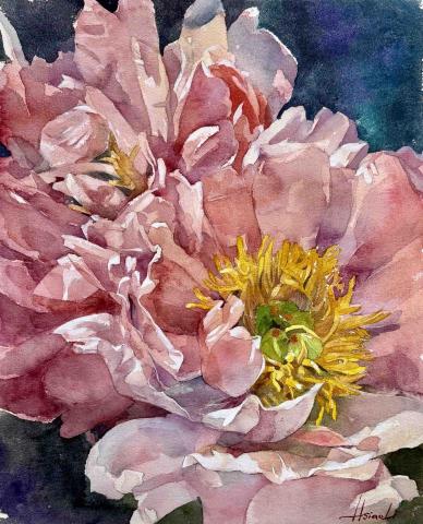 沐樂Art - 20250114盛開的芍藥