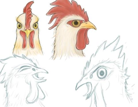 Anita Lu😺 - 角色設計，使用Procreate手繪軟體