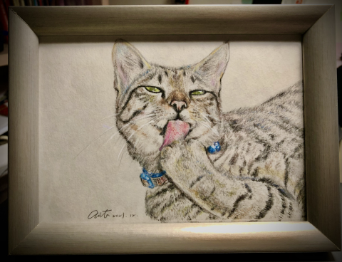 Anita Lu😺 - 為朋友過世的寵物手繪肖像畫，使用水性色鉛筆