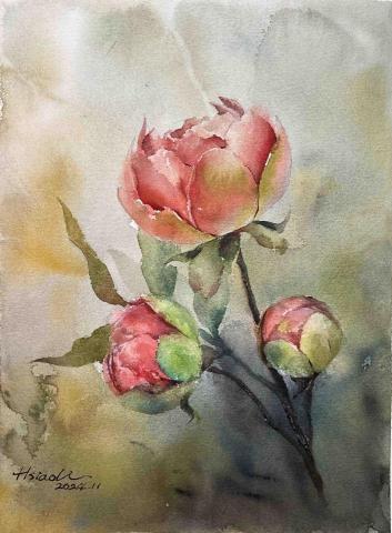 沐樂Art - 20241129花苞