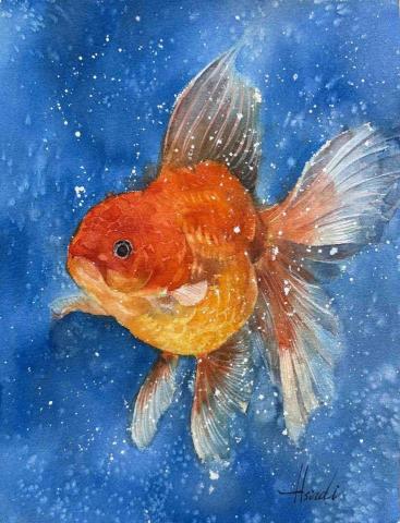 沐樂Art - 20250117嘟嘟金魚