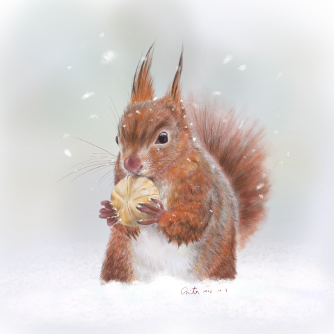 Anita Lu😺 - 描摹網路攝影作品，使用Adobe Fresco電繪軟體繪製