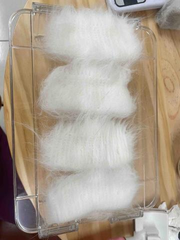 貼心貓奴新春上工！ - 梳毛非常有成效