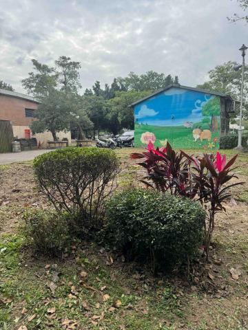 🪽森羽園藝 - 灌木修剪