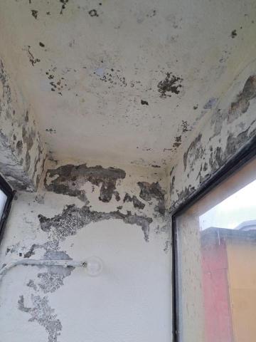 上野裝潢油漆 - 頂樓壁癌