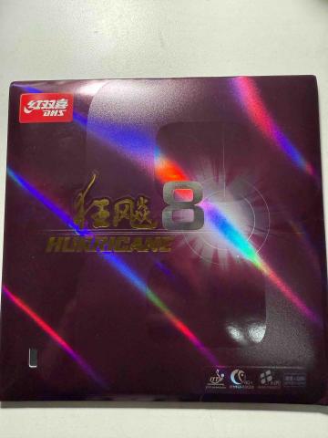 林宸陽（桌球教練） - 