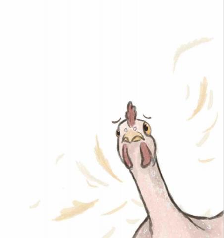 Anita Lu😺 - 繪本創作中的角色，使用Procreate繪製