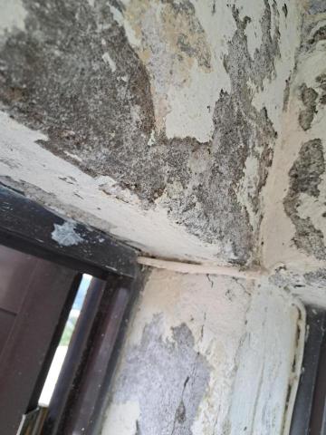 上野裝潢油漆 - 頂樓壁癌