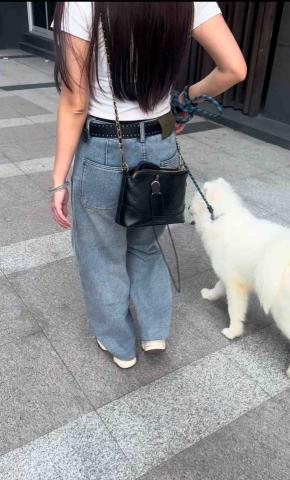 毛學苑專業訓犬 - 不爆衝