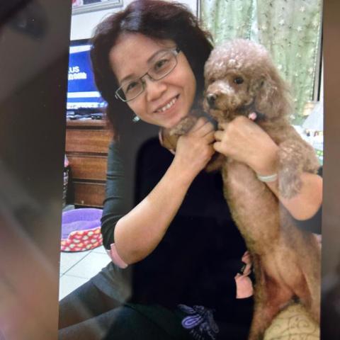 提供寄養貓服務的專家陳玉卿